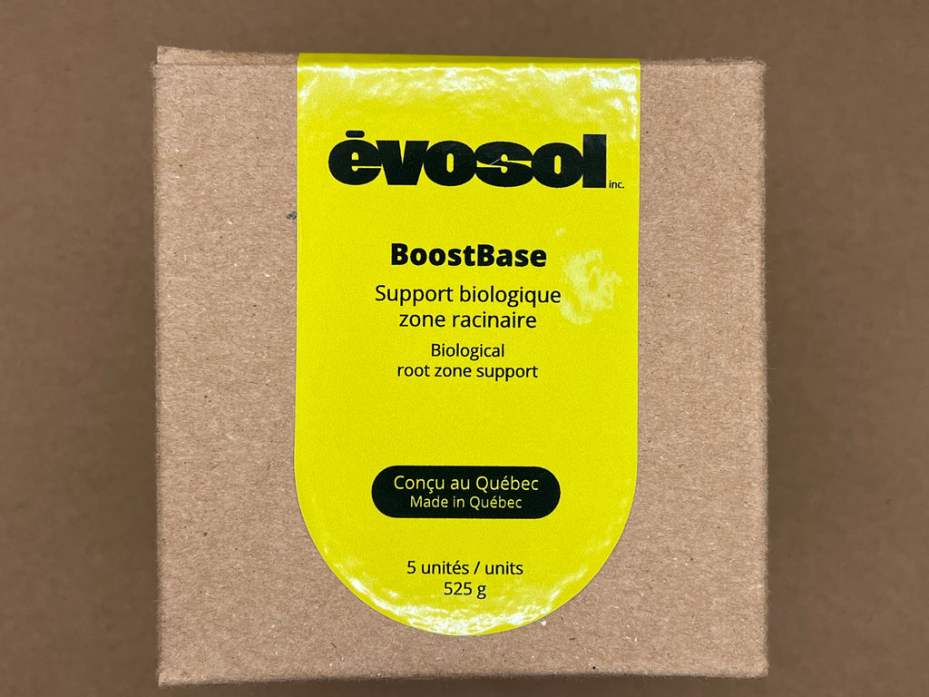 BoostBase